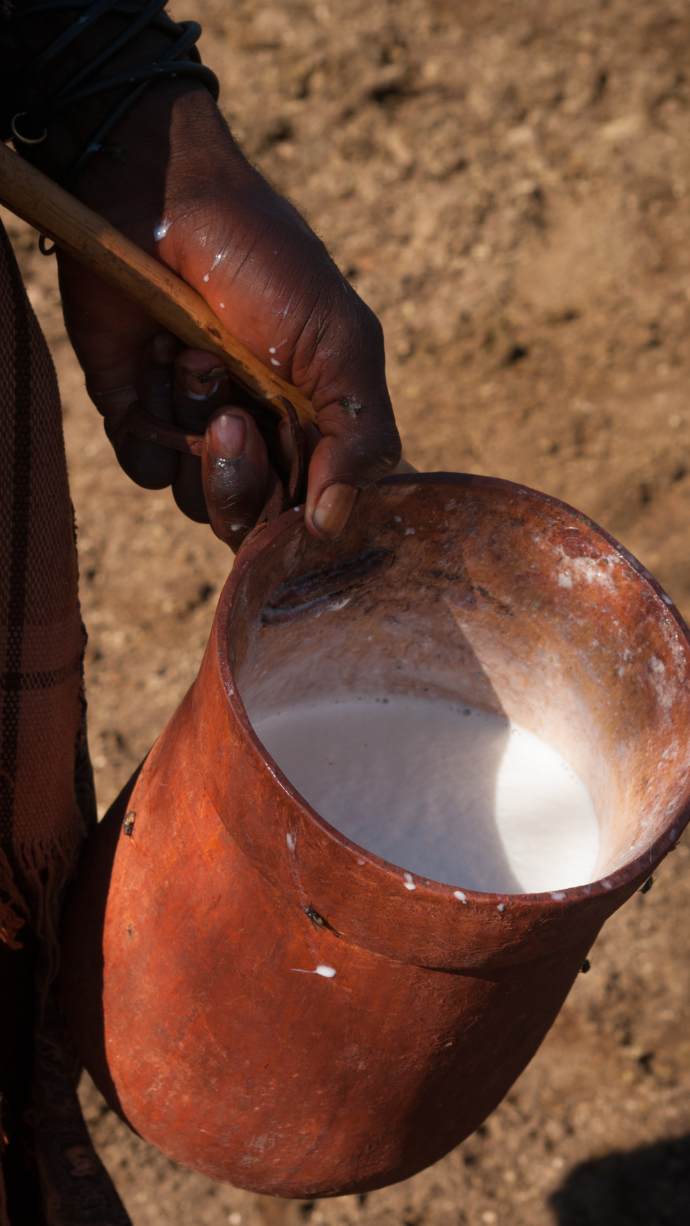 Récolte_du_lait_village_Himbas
